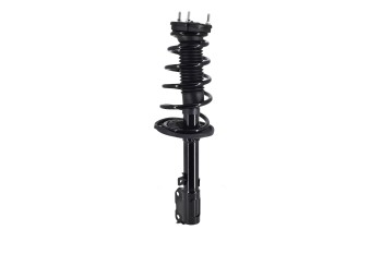 Suspension Strut and Coil Spring Assembly