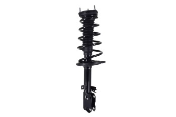 Suspension Strut and Coil Spring Assembly