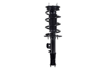 Suspension Strut and Coil Spring Assembly