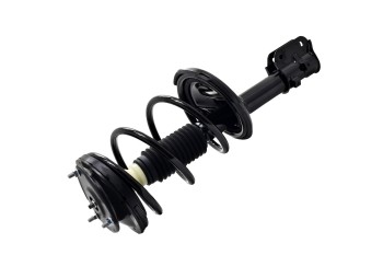Suspension Strut and Coil Spring Assembly