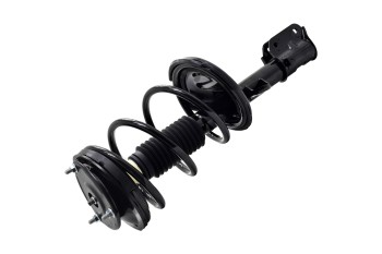 Suspension Strut and Coil Spring Assembly