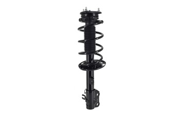 Suspension Strut and Coil Spring Assembly