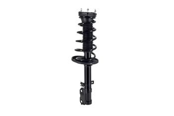 Suspension Strut and Coil Spring Assembly
