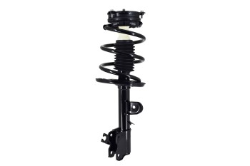 Suspension Strut and Coil Spring Assembly