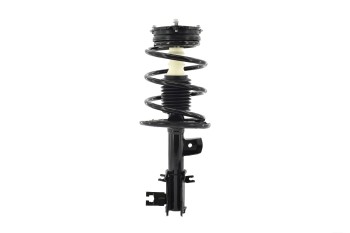 Suspension Strut and Coil Spring Assembly