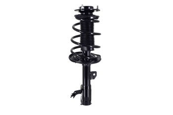 Suspension Strut and Coil Spring Assembly