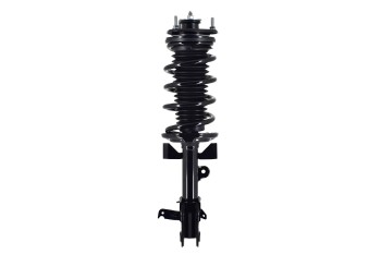 Suspension Strut and Coil Spring Assembly