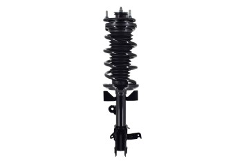 Suspension Strut and Coil Spring Assembly