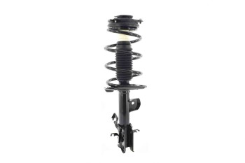 Suspension Strut and Coil Spring Assembly