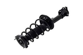 Suspension Strut and Coil Spring Assembly