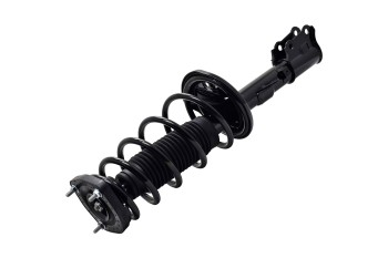 Suspension Strut and Coil Spring Assembly