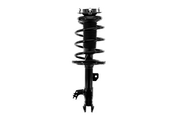 Suspension Strut and Coil Spring Assembly