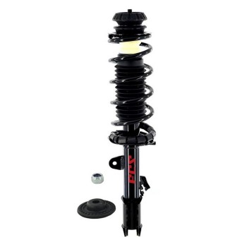 Suspension Strut and Coil Spring Assembly