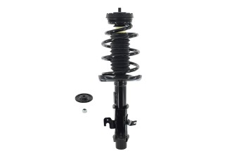 Suspension Strut and Coil Spring Assembly