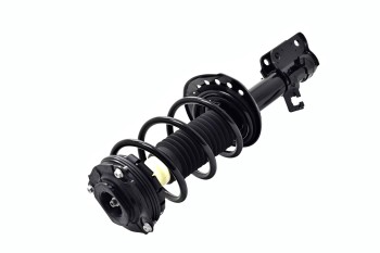 Suspension Strut and Coil Spring Assembly