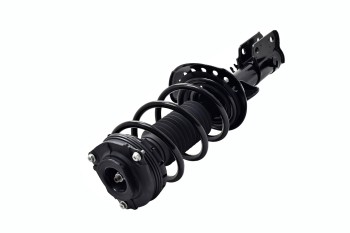 Suspension Strut and Coil Spring Assembly