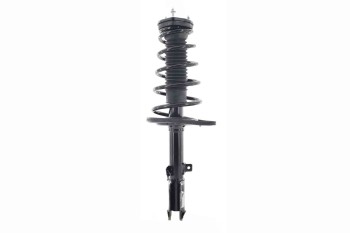 Suspension Strut and Coil Spring Assembly