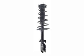 Suspension Strut and Coil Spring Assembly