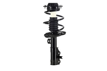 Suspension Strut and Coil Spring Assembly