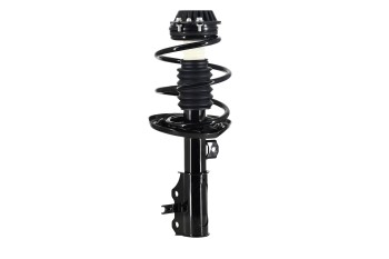 Suspension Strut and Coil Spring Assembly