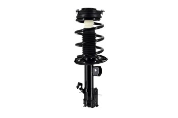 Suspension Strut and Coil Spring Assembly