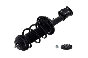 Suspension Strut and Coil Spring Assembly