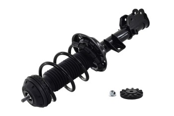 Suspension Strut and Coil Spring Assembly