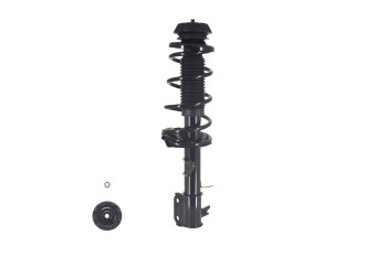 Suspension Strut and Coil Spring Assembly