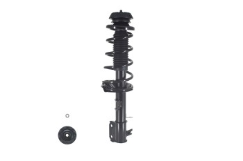 Suspension Strut and Coil Spring Assembly