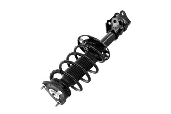 Suspension Strut and Coil Spring Assembly