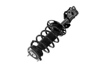 Suspension Strut and Coil Spring Assembly
