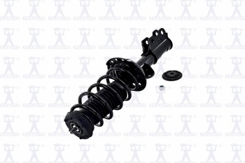 Suspension Strut and Coil Spring Assembly