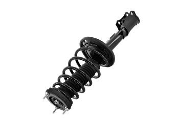 Suspension Strut and Coil Spring Assembly