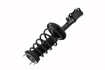 Suspension Strut and Coil Spring Assembly