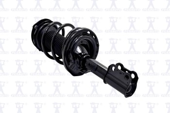 Suspension Strut and Coil Spring Assembly