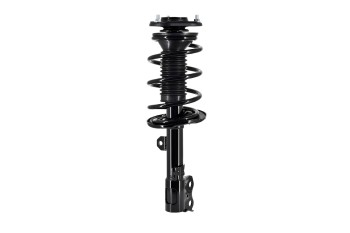 Suspension Strut and Coil Spring Assembly