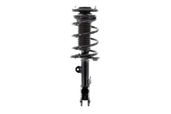 Suspension Strut and Coil Spring Assembly