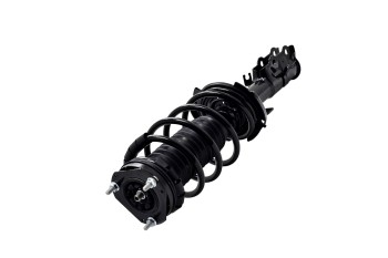 Suspension Strut and Coil Spring Assembly
