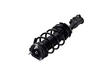 Suspension Strut and Coil Spring Assembly
