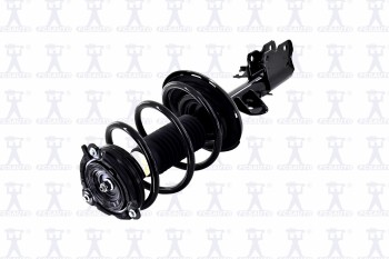 Suspension Strut and Coil Spring Assembly