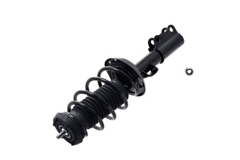Suspension Strut and Coil Spring Assembly