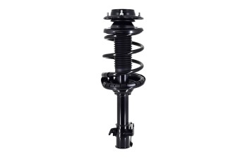 Suspension Strut and Coil Spring Assembly