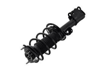 Suspension Strut and Coil Spring Assembly