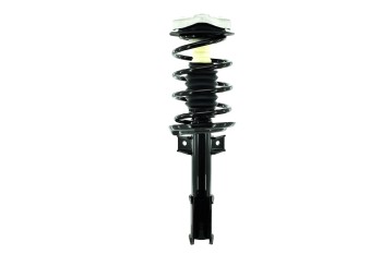Suspension Strut and Coil Spring Assembly