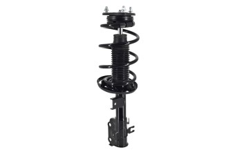 Suspension Strut and Coil Spring Assembly