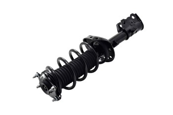 Suspension Strut and Coil Spring Assembly