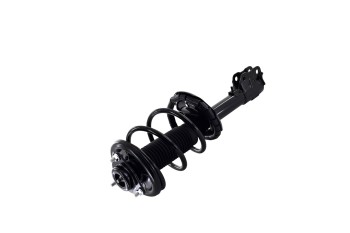 Suspension Strut and Coil Spring Assembly