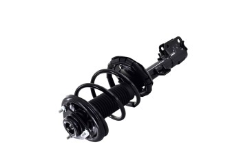 Suspension Strut and Coil Spring Assembly