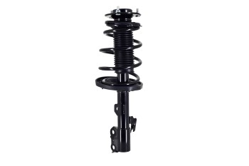 Suspension Strut and Coil Spring Assembly