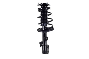 Suspension Strut and Coil Spring Assembly